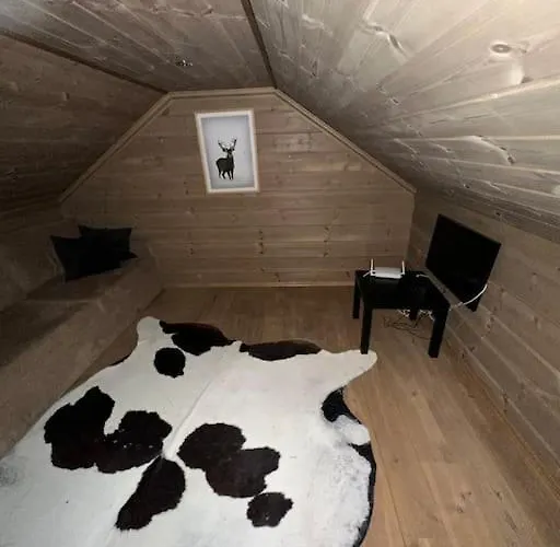 Myrkdalen Ii, Luxury Family In And Out Helgatun