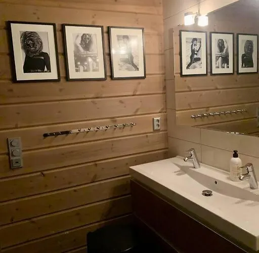 Myrkdalen Ii, Luxury Family In And Out Feriehus Helgatun