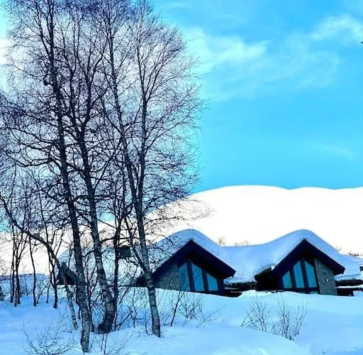 Myrkdalen Ii, Luxury Family In And Out Feriehus